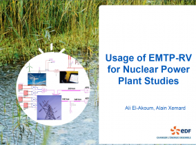 [Nuclear]_Usage of EMTP for Nuclear Power Plant Studies